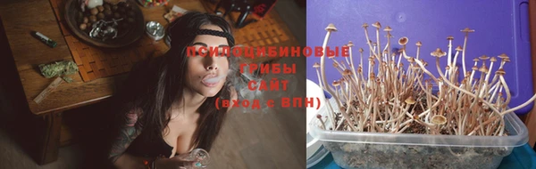 бошки Беломорск