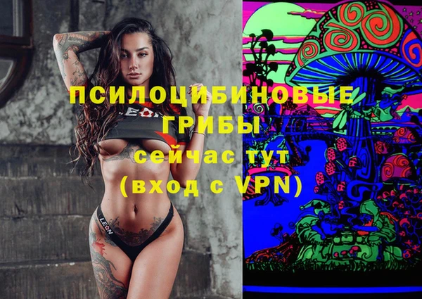 марки lsd Белокуриха