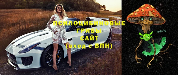 марки lsd Белокуриха