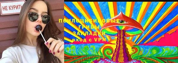 марки lsd Белокуриха