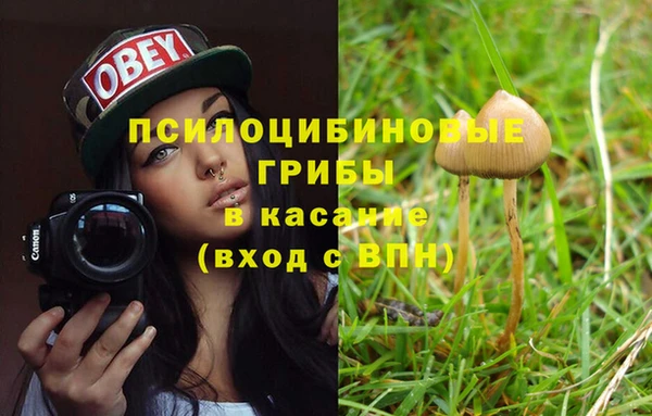 марки lsd Белокуриха