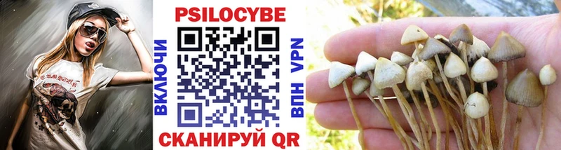 KRAKEN ссылки  Павловск  Галлюциногенные грибы GOLDEN TEACHER 